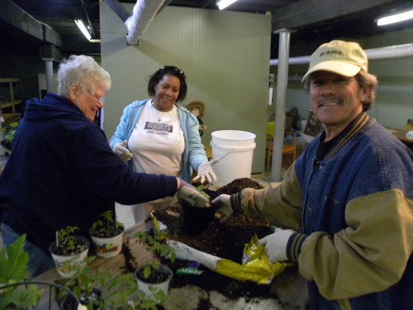 2013 Action Grant recipients at St. Anthony's Food Pantry re-pot tomato plants before giving them away.