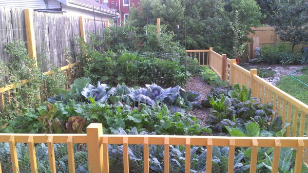 Cassandra's garden during the 2012 early summer season.