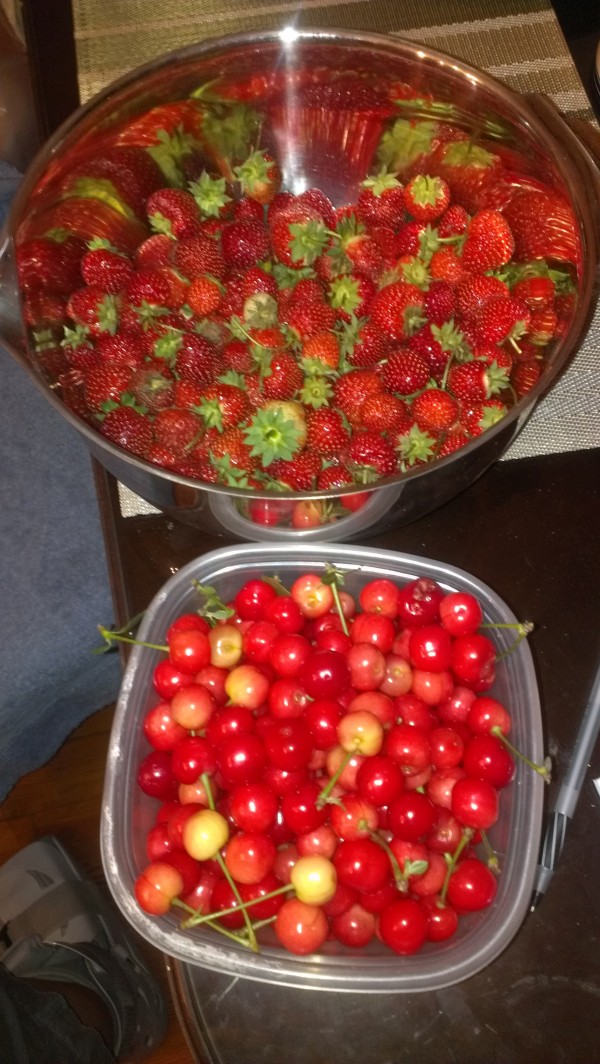 A sampling of what a weekly harvest looks like in May and June from the Hage homestead.